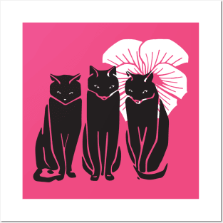 Three black cats Posters and Art